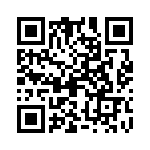 09300060313 QRCode