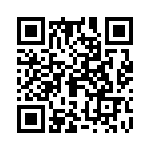 09300100317 QRCode