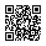 09300241250 QRCode