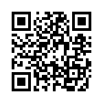 09400240313 QRCode