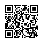 095511009300 QRCode