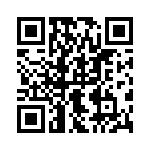 09553566618741 QRCode