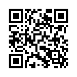 09553666811741 QRCode