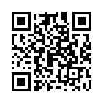 095576309313 QRCode