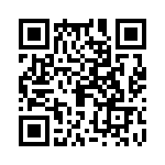 09620100544 QRCode