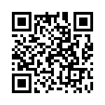 1-1605403-1 QRCode