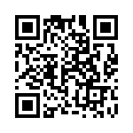 1-1776313-2 QRCode