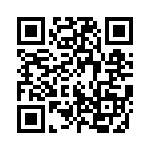 10-101333-283 QRCode