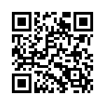 100200P4Y100-2 QRCode