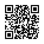 10029-3 QRCode