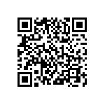 1004P3T1B1M7QEH QRCode