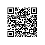 1004P3T8B13M1QE QRCode