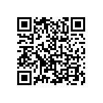 10055295-10300T QRCode