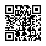 100B101KT500XT QRCode