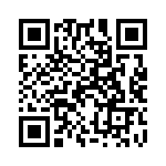 101302T250BC2A QRCode