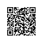 101C133T200DE2B QRCode