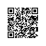 101C153U100EE2B QRCode