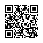 101TL1-51 QRCode