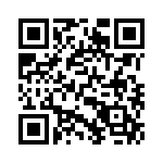 101TL2133-3 QRCode