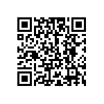 101X313U040CC2D QRCode