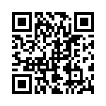 102S42E1R1BV4E QRCode