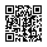 1053091306 QRCode