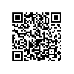 1111J1K00161GQT QRCode