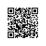 1111J1K01P30BQT QRCode