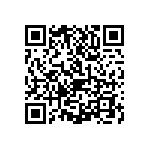 1111J1K01P90HQT QRCode