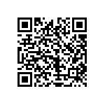 1111J1K02P40HQT QRCode