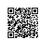 1111J2009P10DQT QRCode