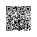 1111J2K00330KQT QRCode