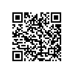 1111J2K00430GQT QRCode