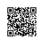 1111J2K03P30HQT QRCode