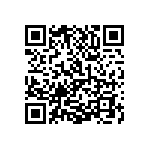 1111J2K08P20DQT QRCode