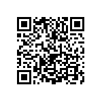 1111Y1000161KQT QRCode