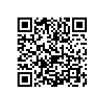 1111Y1001P10DQT QRCode