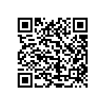 1111Y1004P30CQT QRCode