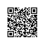 1111Y1K00100FQT QRCode