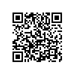 1111Y1K03P90BQT QRCode