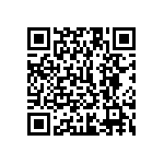 1111Y1K04P30HQT QRCode