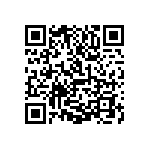 1111Y1K06P20HQT QRCode