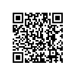 1111Y1K09P10BQT QRCode