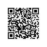 1111Y1K0P500BQT QRCode