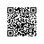 1111Y2500221KQT QRCode