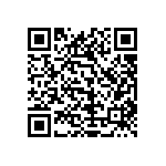 1111Y2500241KQT QRCode