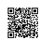 1111Y2500441GQT QRCode