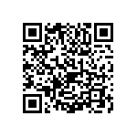 1111Y2501P50DQT QRCode