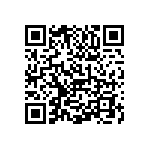 1111Y2503P60BQT QRCode