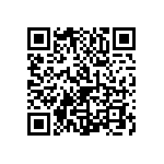 1111Y2K00110GQT QRCode